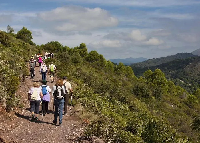 Al4-2025 - - Alcazaba Lagoon إِستيبونا