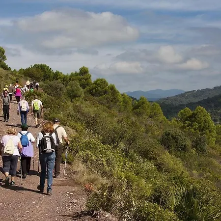 Al4-2025 - - Alcazaba Lagoon Estepona